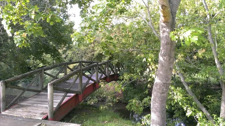 The Bong Bong Track through Southern Highlands countryside