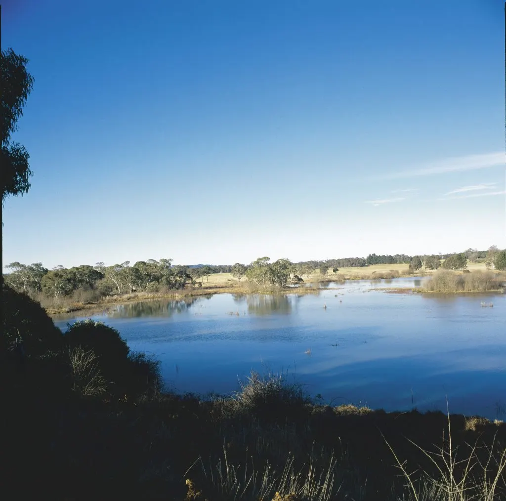 Cecil Hoskins Nature Reserve near Moss Vale