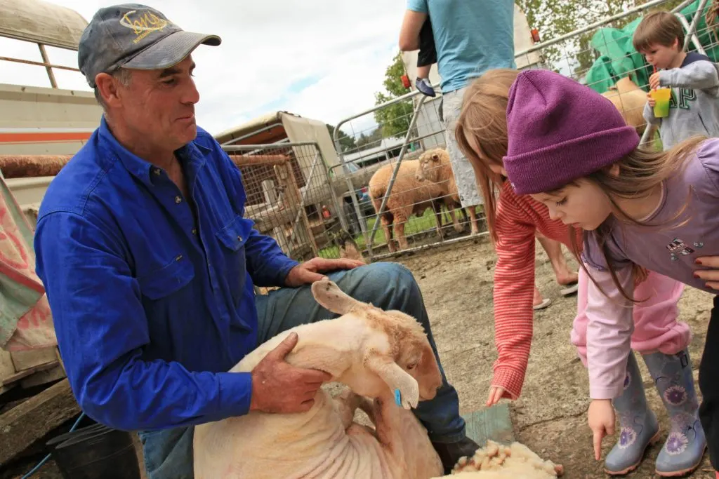 Moss Vale Showground and agricultural show